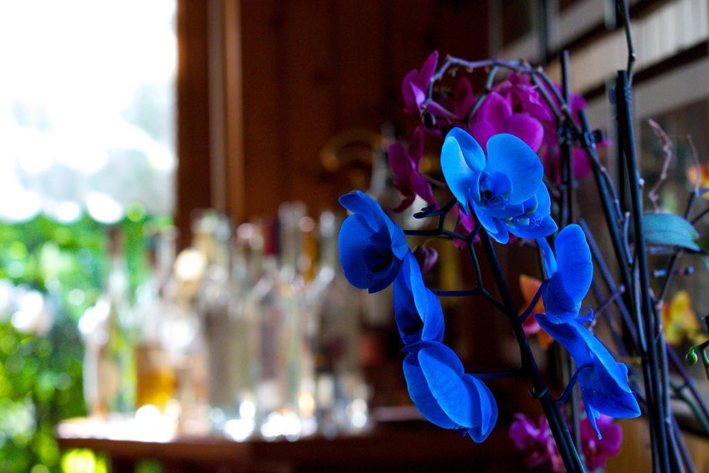 Altavilla Locanda E Tipica Trattoria Bianzone Dış mekan fotoğraf