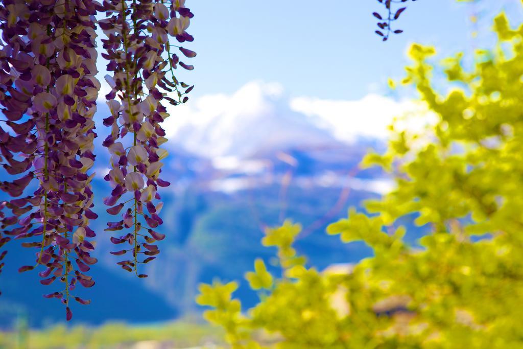 Altavilla Locanda E Tipica Trattoria Bianzone Dış mekan fotoğraf